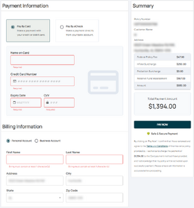 Required credit card fields are outlined in red