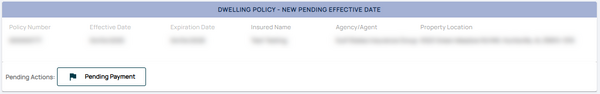 The policy can be found in the Pending Transactions queue; it needs to be paid.